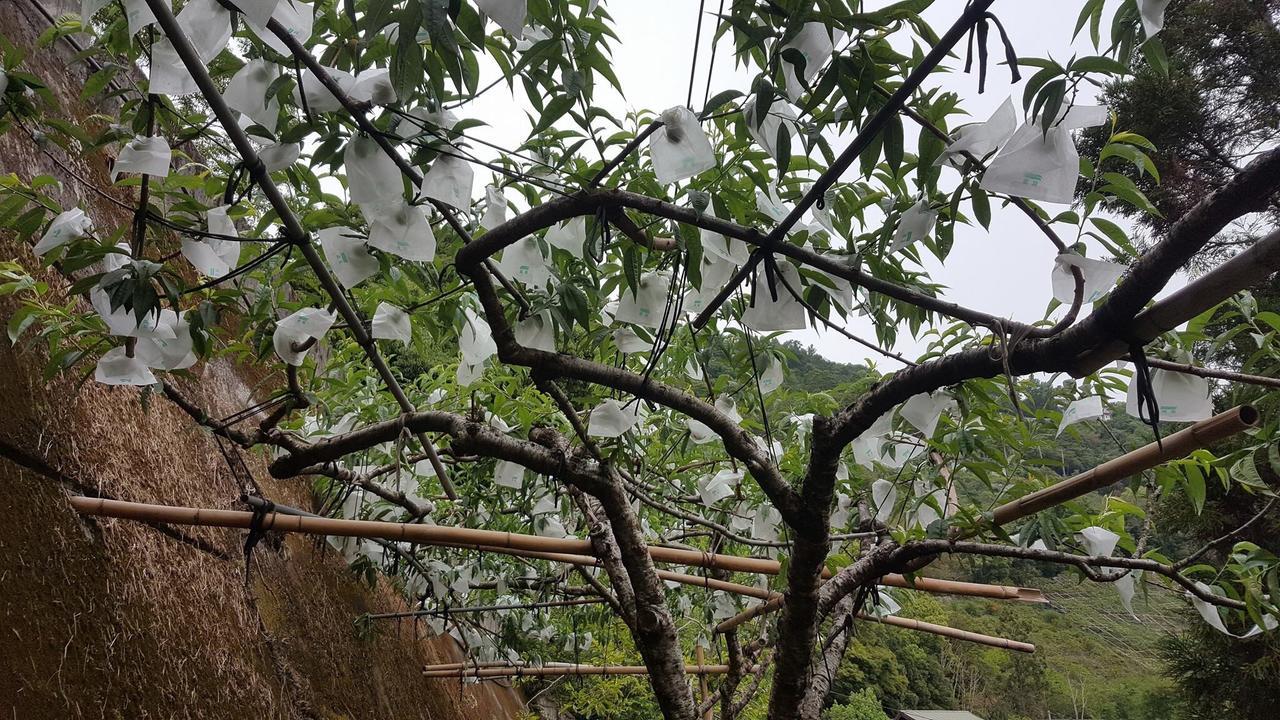 La La Shan 5.5KNong Zhuang Hualing Exterior foto